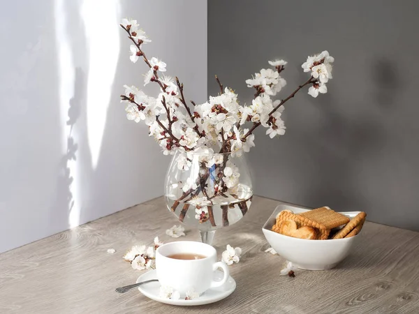 Tè e fiori di albicocca — Foto Stock