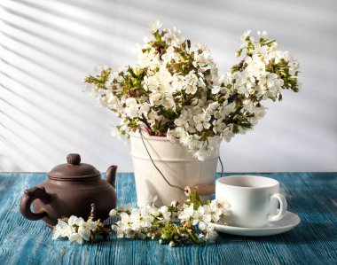 Kiraz çiçeği ile natürmort