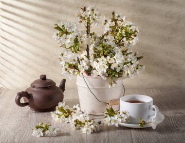 Kiraz çiçeği ile natürmort