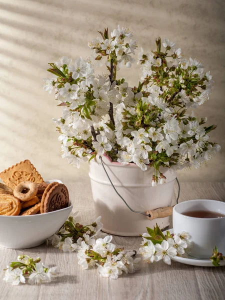 Still life with cherry blossom — Stock Photo, Image