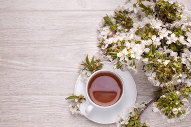 Kiraz çiçeği ile natürmort