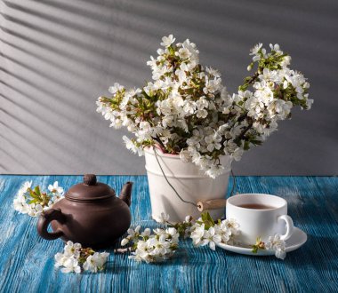 Kiraz çiçeği ile natürmort