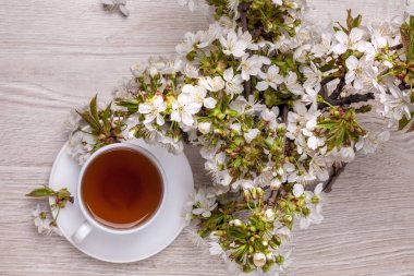 Kiraz çiçeği ile natürmort