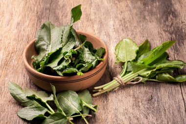 Taze kuzukulağı sebze