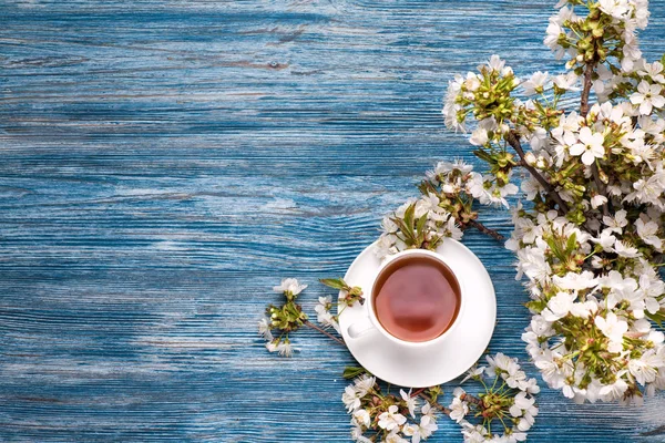 Still life with cherry blossom — Stock Photo, Image