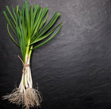 Genç taze sarımsak