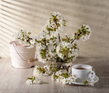 Kiraz çiçeği ile natürmort