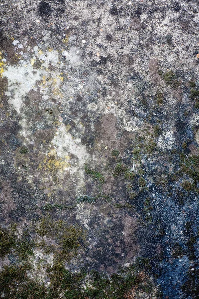 Background of old concrete — Stock Photo, Image