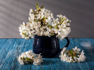 Kiraz çiçekleriyle dolu bir hayat