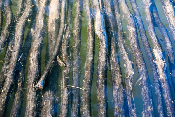 Sfondo di fienili di legno — Foto Stock