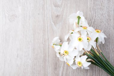 Arka plan üzerinde nergis çiçek