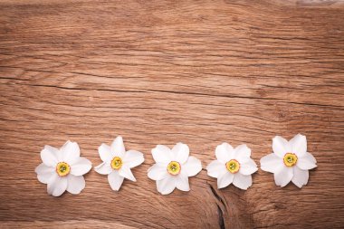 Dafodils dekoratif çerçeve