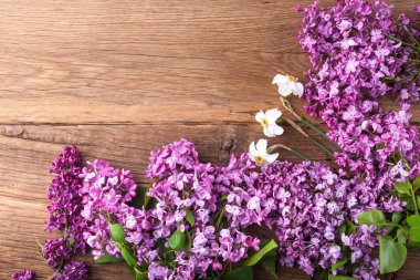 Leylak çiçekleri arka plan