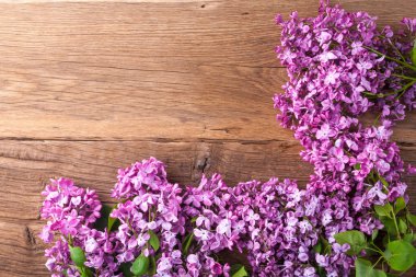 Leylak çiçekleri arka plan