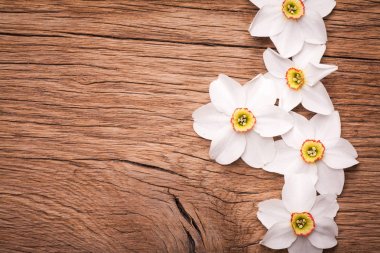 Dafodils dekoratif çerçeve