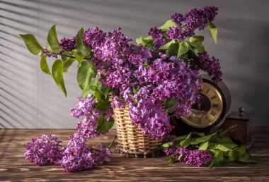 Lila ile natürmort