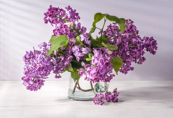 Still life with lilac — Stock Photo, Image