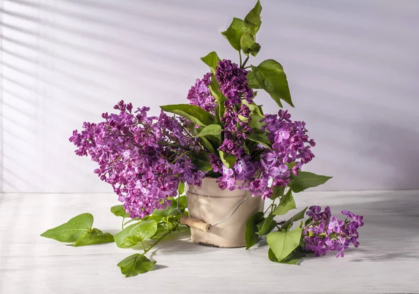 Still life with lilac — Stock Photo, Image