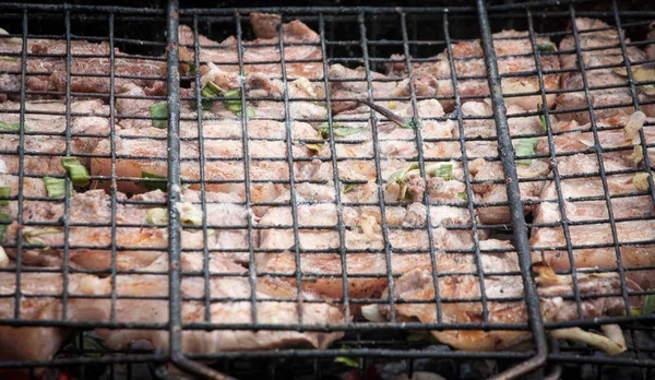 Carne de freah gananciosa — Fotografia de Stock