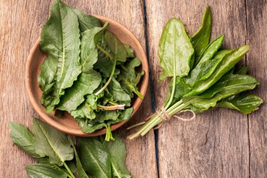 Taze kuzukulağı sebze