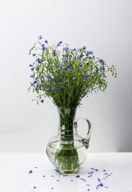 Kır çiçekleri. Bahar.