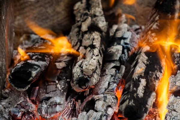 Fa, a tűz — Stock Fotó