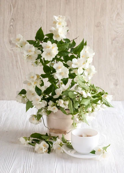 Jasmine fragrance flower — Stock Photo, Image