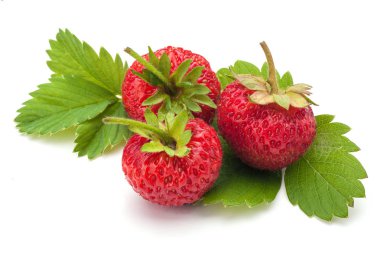 çilek yaprakları ile