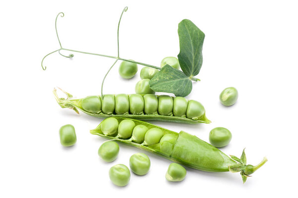 green pea vegetable