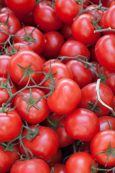 Fondo de tomates — Foto de Stock