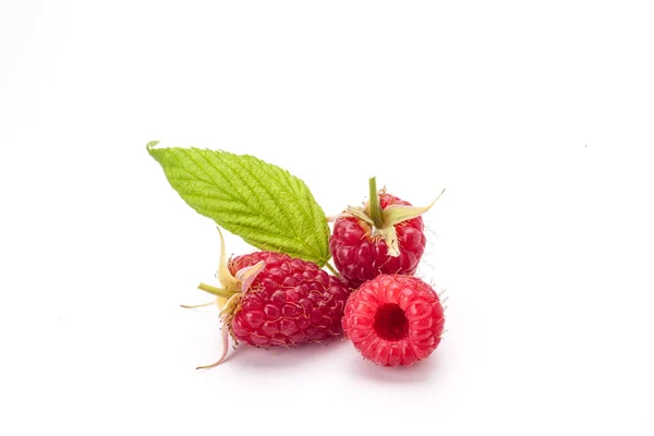 Raspberry sweet fruits — Stock Photo, Image