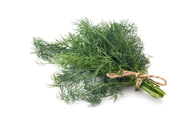 Dill färsk grönsak — Stockfoto