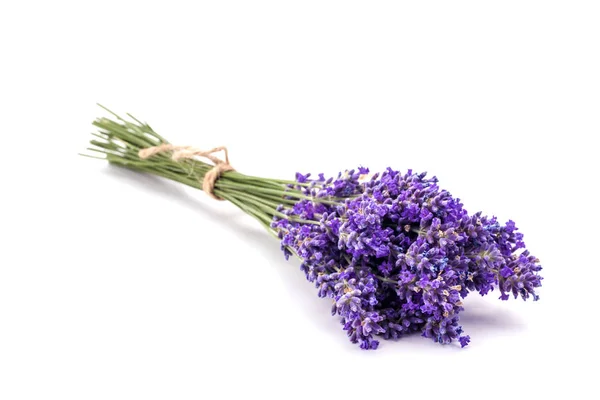 Film lavanta çiçekleri