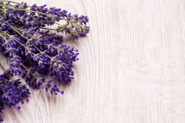 Arka plan üzerinde lavanta