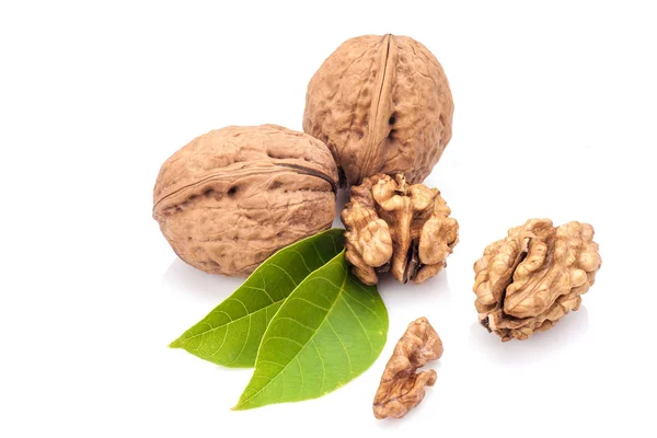 Nueces con hojas — Foto de Stock