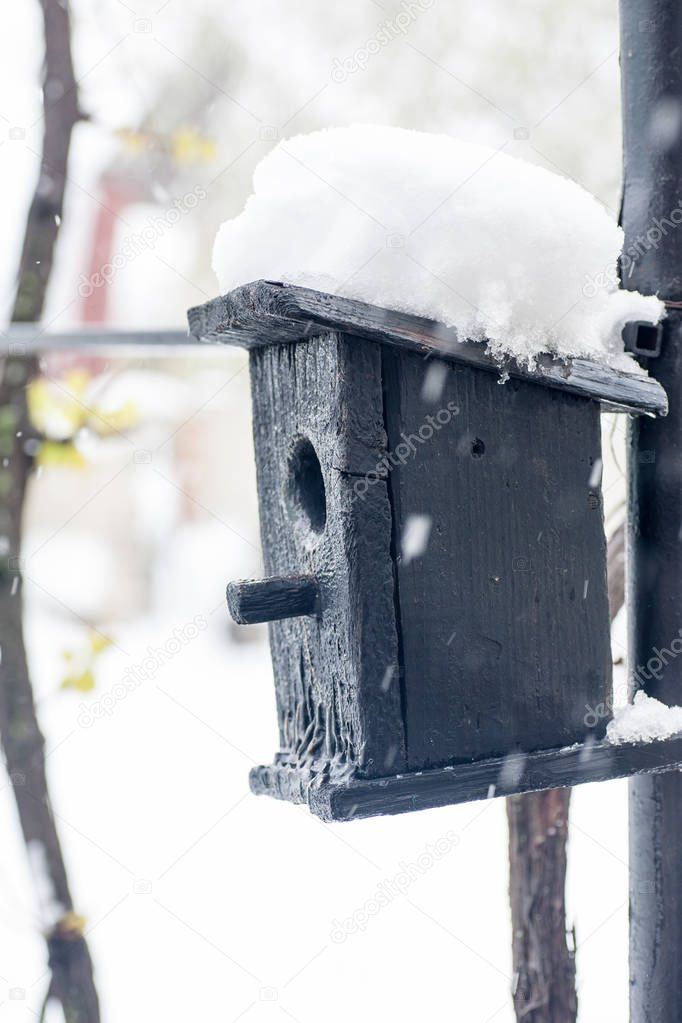 Bird house in the winter
