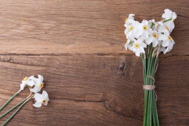 Arka plan üzerinde nergis çiçek