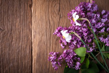 Leylak çiçekleri arka plan