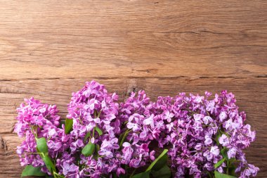 Leylak çiçekleri arka plan