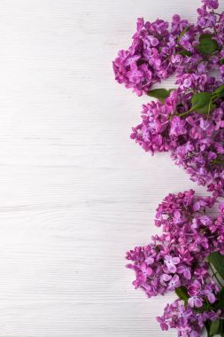 Leylak çiçekleri arka plan