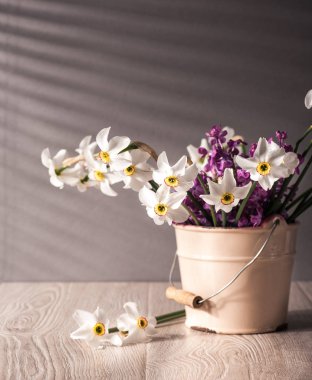 Nergislerle dolu bir hayat