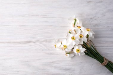 Arka plan üzerinde nergis çiçek