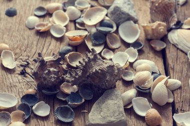 Karışık deniz bilmiyorum