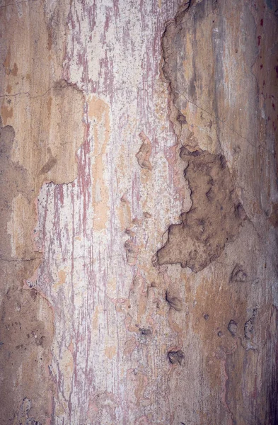 Old plaster wall — Stock Photo, Image