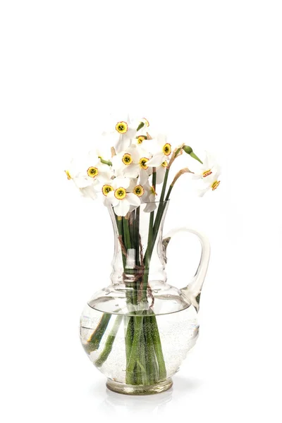 Still life with daffodils — Stock Photo, Image