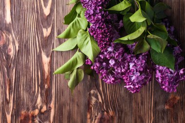 Leylak çiçekleri arka plan