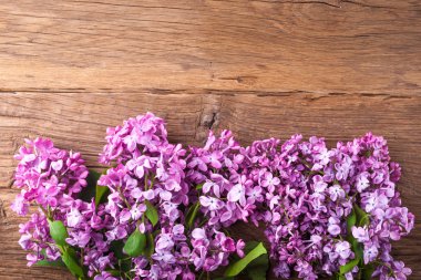 Leylak çiçekleri arka plan