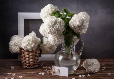 Viburum beyaz çiçekler