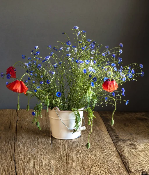 野花和罂粟 — 图库照片