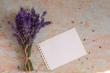 Arka plan üzerinde lavanta